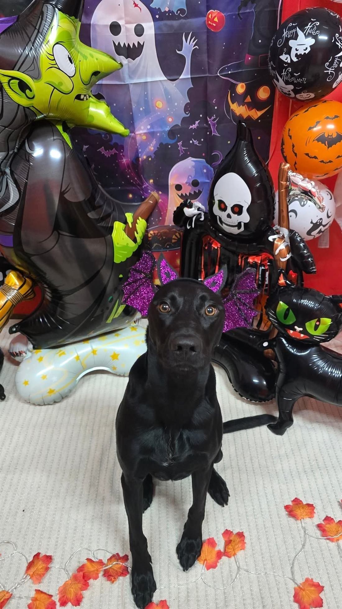 Halloweeni jelmez