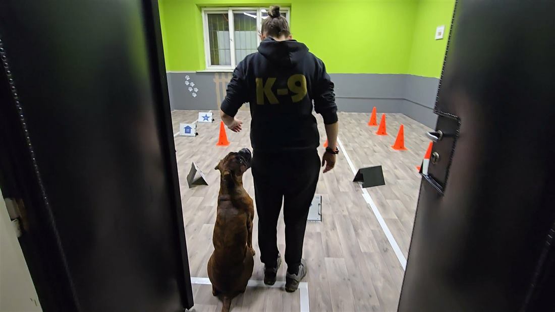 Réka és a kiképzős kutya az akadálypályán